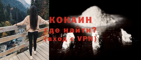 индика Алексин