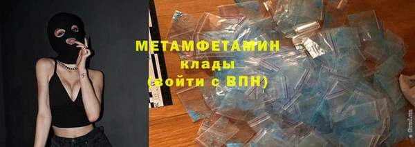 индика Алексин