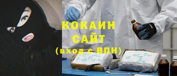 индика Алексин