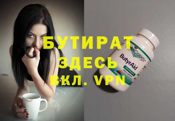 индика Алексин