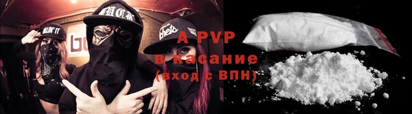 ГАЛЛЮЦИНОГЕННЫЕ ГРИБЫ Абаза