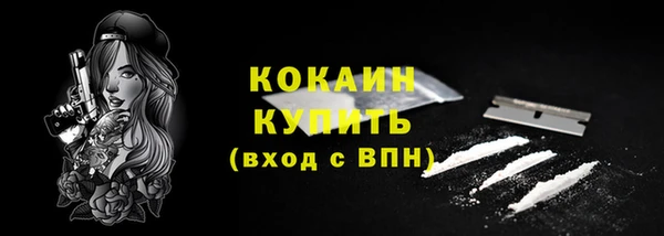 ГАЛЛЮЦИНОГЕННЫЕ ГРИБЫ Абаза