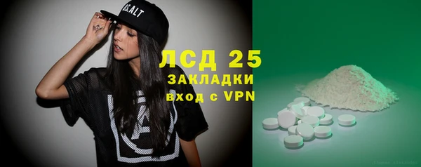 индика Алексин