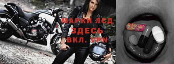ГАЛЛЮЦИНОГЕННЫЕ ГРИБЫ Абаза