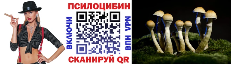 Галлюциногенные грибы GOLDEN TEACHER  Анапа 